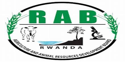 Value chain and climate smart agriculture technical advisor at RAB
